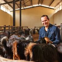 Стрижка овец - Животноводство