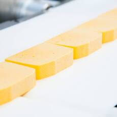 Молочные изделия - Животноводство