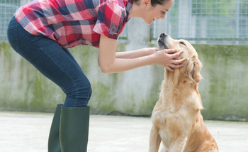 Консультации по уходу  - Животноводство